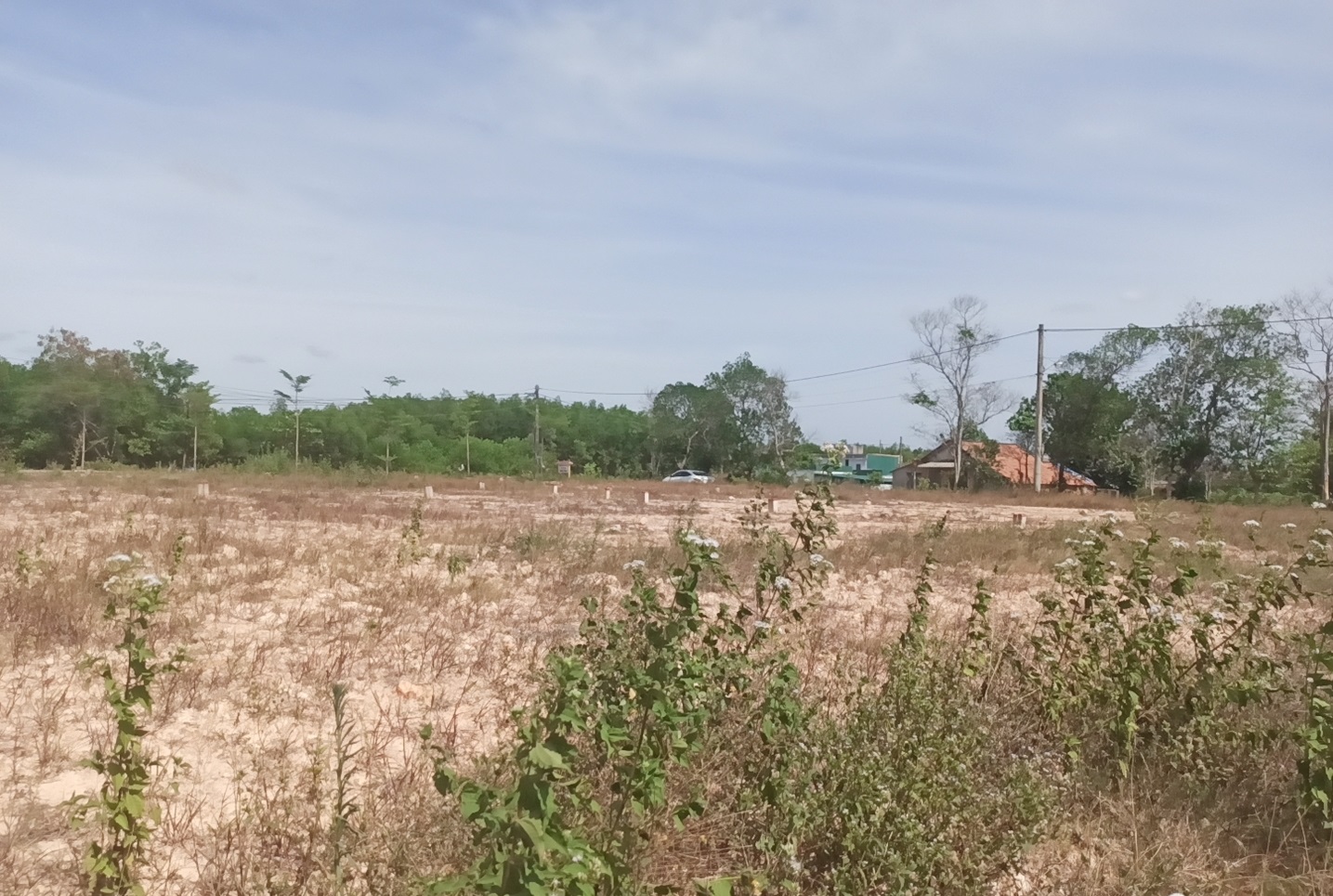 Cần bán Đất Xã Hải Phú, Hải Lăng, Diện tích 120m², Giá Thương lượng 1