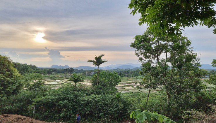 SIÊU PHẨM VIEW CÁNH ĐỒNG CỰC ĐẸP GẦN NHIỀU KHU NGHỈ DƯỠNG HOMESTAY CAO CẤP