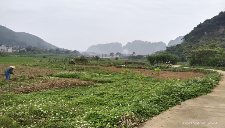Cần bán Đất đường Quốc lộ 6, Thị trấn Lương Sơn, Diện tích 10000m², Giá 4.5 Tỷ - LH: 0966746668 1