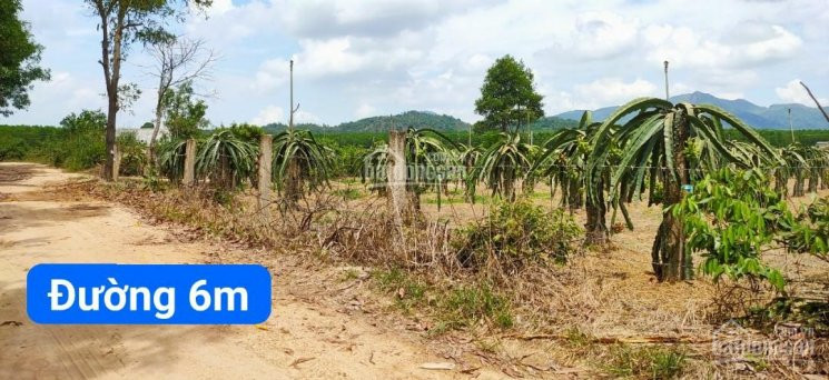 8,6ha đất Trống - điện, Dân Có đủ Tại Tân Tiến - 750triệu/ha 2