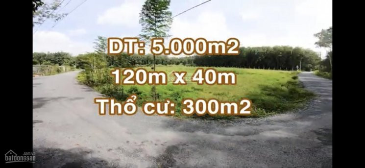 Bán đất Củ Chi 2 Mặt Tiền   Dt: 5000m2  Thổ Cư 355m2 Ngang 40m Dài 120m   Liên Hệ : 0981886978 6