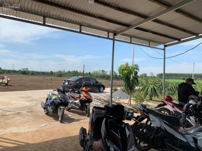 Chính Chủ Bán Nhanh 1000m2 ở Trảng Bom, Tương đương Với 1 Sào 2