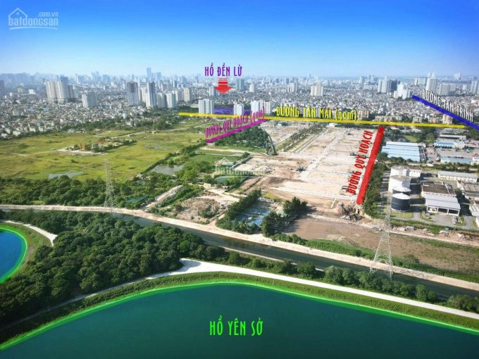 Chính Chủ Bán Nhanh Biệt Thự Louis City Hoàng Mai Diện Tích Từ 266 - 300m2, Chỉ Có 72 Lô, Giá Từ 80-95 Triệu/m2 1