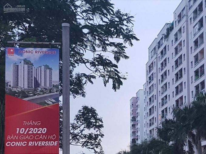 Chính Chủ Bán Nhanh Căn Hộ Conic Riverside Q8 Dt 50,5m2 1+1pn View Hồ Bơi, View Sông, Giá 145tỷ Lh 0902462566 2