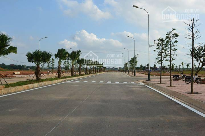 Chính Chủ Bán Nhanh đất Kđt Nam Vĩnh Yên, 300m2 Khu đồi Cảnh Quan, đường 21m Gần Hà Minh Anh 3