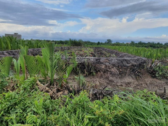 Chính Chủ Bán Nhanh đất  Khu Dân Cư An Thới đông Cần Giờ, Diện Tích: 2562m2,có 300m2 Thổ Cư, Giá: 9,5 Tỷ(tl) 2