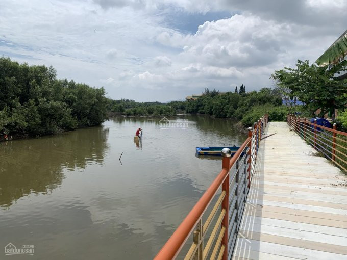 Chính Chủ Bán Nhanh đất Mặt Tiền đường Ven Biển Có Thổ Cư Gần Khu Du Lịch Hồ Tràm, Lộc An, Bình, Bình Châu 4