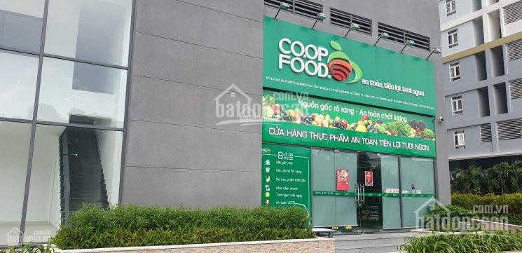 Chính Chủ Bán Nhanh Gấp Shophouse Kinh Doanh Mt Nguyễn Lương Bằng Phú Mỹ Hưng Q7 Giá 9 Tỷ/139m2, Lh: 0903647344 1