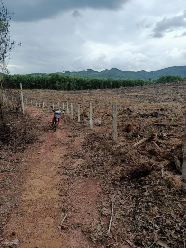 Chính Chủ Bán Nhanh Hơn 2 Ha đất Xây Biệt Thự Nhà Vườn, Khu Nghỉ Dưỡng, Trại Rau Sạch 2