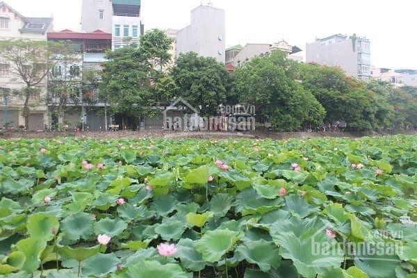 Chính Chủ Bán Nhanh Nhà Phố Phương Liệt, Lô Góc Sáng Thoáng, 54m2, 3t, Mt 42m, 395 Tỷ 0975502218 1