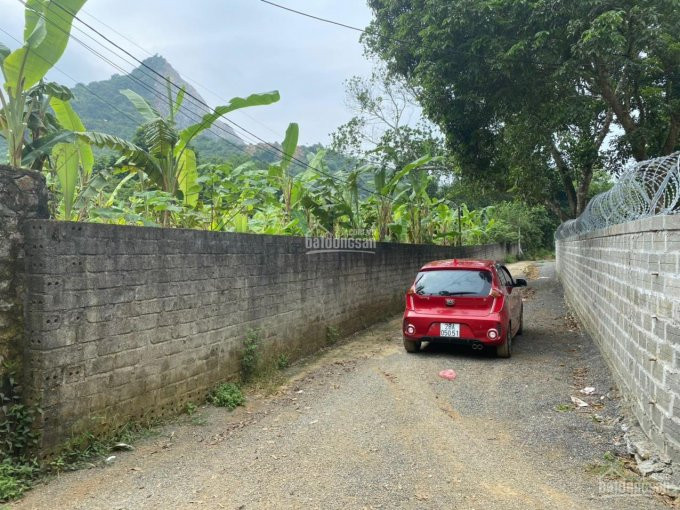 Chính Chủ Bán Nhanh Nhanh 2460m ,tân Vinh ,lướng Sơn ,hòa Bình Giá Rẻ 3