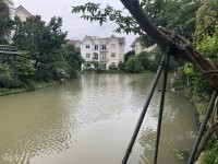 Chính Chủ Bán Nhanh Nhanh Lại Lô Hoa Lan: 260m2 Thô, Vườn Rộng, Sông Thoáng, 19 Tỷ Vinhomes Riverside: 0989 38 3458 2