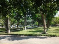 Chính Chủ Cần Bán 5 Lô đất Khu Dự án Mười Mẫu, Phú Nhuận Phường Bình Trưng đông, Q 2 9