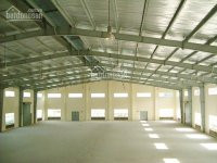 Chính Chủ Cho Thuê Nhanh Kho Xưởng May Mặc Mới Hết Hạn Hợp đồng Dt: 1000m2 Giá 40tr/tháng ở đường Tô Ký 2