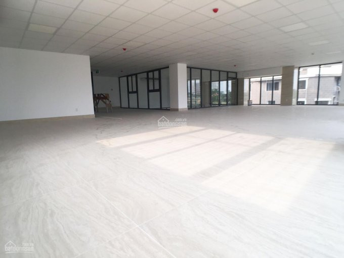 Tòa Văn Phòng 500m2, An Phú - An Khánh Ngay Cục Thuế, Quận 2 Hầm 4 Lầu Giá Chỉ 80tr 3