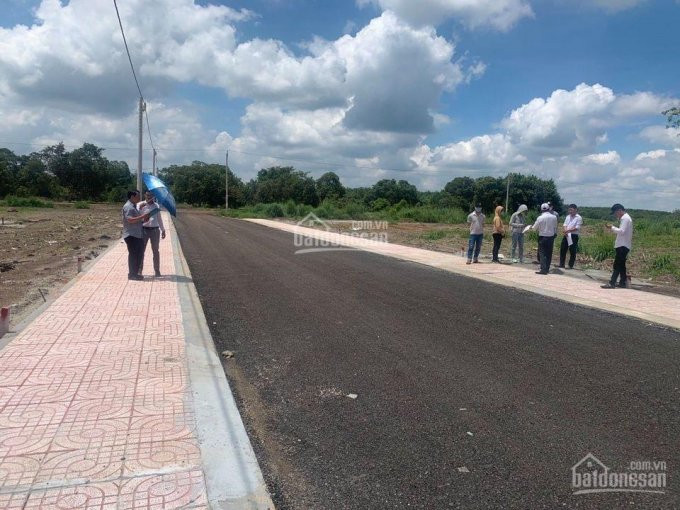 Trung Tâm Hành Chính đồng Phú đất Dân Phân Lô Có Sổ Riêng Từng Nền Giá 590 Triệu Bao Sổ Sang Tên 2