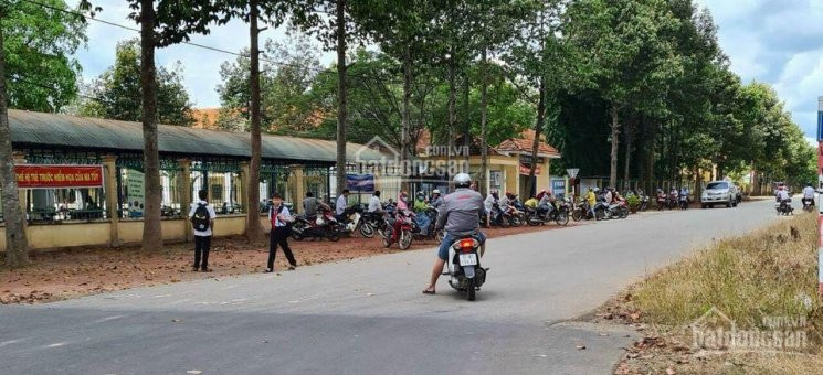 Trung Tâm Hành Chính đồng Phú đất Dân Phân Lô Có Sổ Riêng Từng Nền Giá 590 Triệu Bao Sổ Sang Tên 4