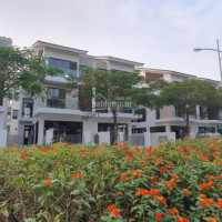Bán Biệt Thự Ngoại Giao Chỉ 48,5tr/m2 Giá Rẻ Nhất Kđt Nam Cường (cam Kết Nội Dung Tin đăng 100%)