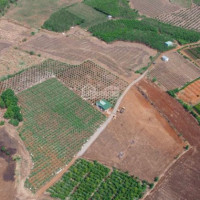 Chính Chủ Bán Nhanh 1000m2 ở Trảng Bom, Tương đương Với 1 Sào
