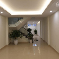 Chính Chủ Bán Nhanh Nhà 5t Nguyễn Chánh,cầu Giấydt:60m2-mt:42m2giá:129 Tỷlh:0989*949*o36(minh Quân)