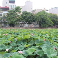 Chính Chủ Bán Nhanh Nhà Phố Phương Liệt, Lô Góc Sáng Thoáng, 54m2, 3t, Mt 42m, 395 Tỷ 0975502218