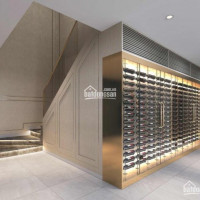 Chính Chủ Cần Chuyển Nhượng Gấp Hàng Hiếm Có 1 0 2 Căn Duplex Dự án Infiniti At Riviera Point
