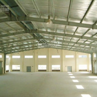 Chính Chủ Cho Thuê Nhanh Kho Xưởng May Mặc Mới Hết Hạn Hợp đồng Dt: 1000m2 Giá 40tr/tháng ở đường Tô Ký