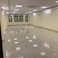 Nhà Mặt Phố Nguyễn Khang 140m2, 08 Tầng Chính Chủ