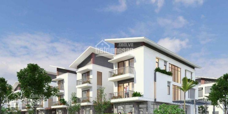 0982089216 - Phòng Bán Hàng Phân Phối Biệt Thự An Vượng Villa - Kđt Dương Nội 164 M2 đến 300m2 3