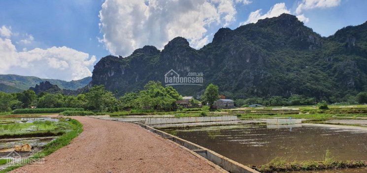 3,2ha Lương Sơn - Hòa Bình View Cánh đồng Cực Thoáng, đường Bê Tông 2 Xe ô Tô Tránh Nhau Thoải Mái 3