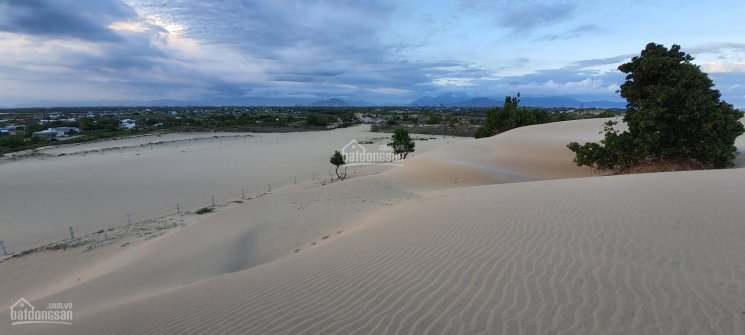 Bán đất tại đồi cát du lịch Nam Cương, TP Phan Rang 2