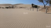 Bán đất tại đồi cát du lịch Nam Cương, TP Phan Rang 13