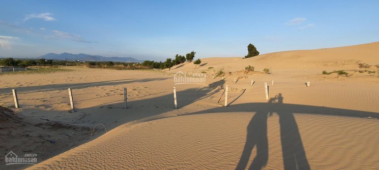 Bán đất tại đồi cát du lịch Nam Cương, TP Phan Rang 3