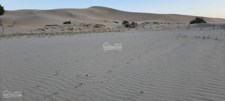 Bán đất tại đồi cát du lịch Nam Cương, TP Phan Rang 4