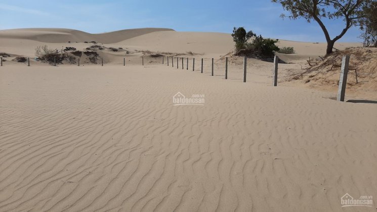 Bán đất tại đồi cát du lịch Nam Cương, TP Phan Rang 5