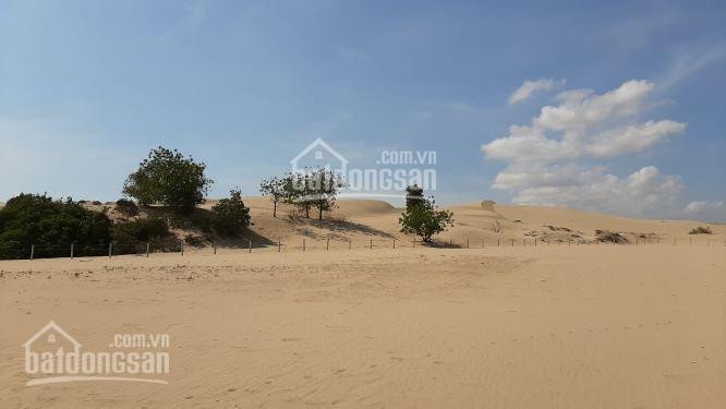 Bán đất tại đồi cát du lịch Nam Cương, TP Phan Rang 6