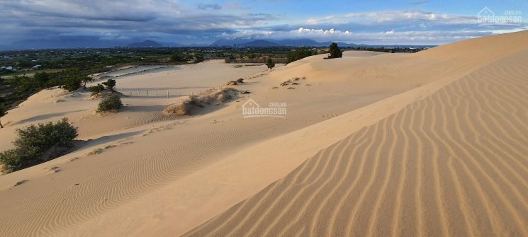 Bán đất tại đồi cát du lịch Nam Cương, TP Phan Rang 8