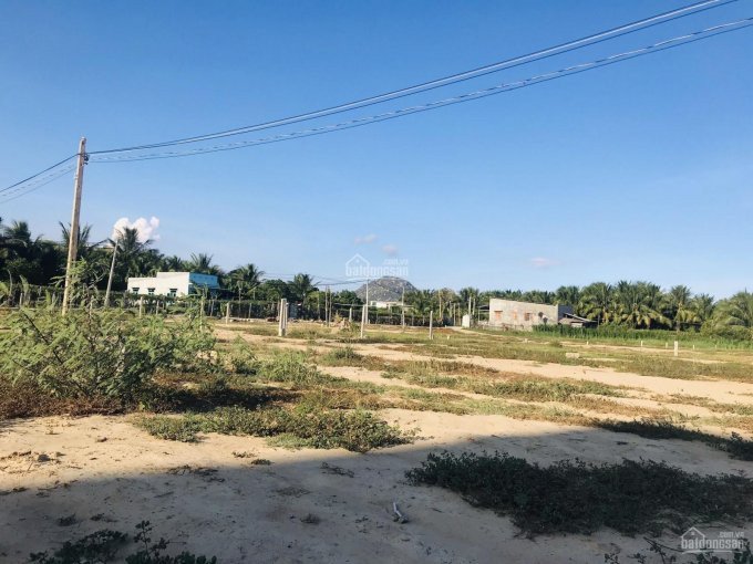 Bán đất xã Thành Hải 300m2 giá 395 triệu đường ôt Sổ hồng riêng