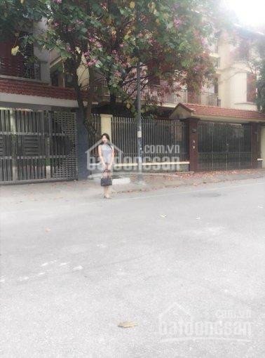 Bán Liền Kề Tt4a Văn Quán, Mặt Sân Chung Cư, 962m2, Mt 5,5m, Hướng đb, 12 Tỷ, Có Tl Lh0949170979 3