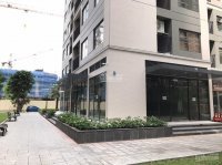Bán Shop Góc Chân đế Cực đẹp Dt 739m2, Tại S103 Vinhome Ocean Park Giá Chỉ 78 Tỷ Bao Phí Toàn Bộ 6