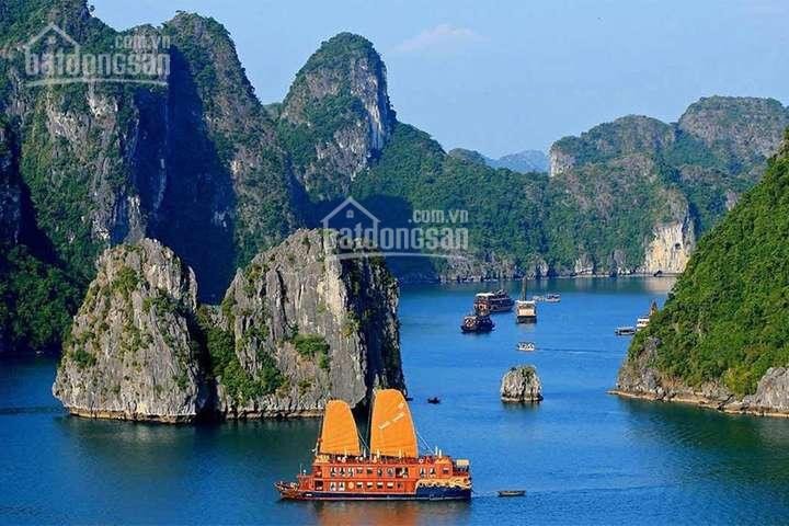 Bến Du Thuyền đẹp Nhất Hạ Long Thuộc Dự án Bất động Sản Nào? Harbor Bay Hạ Long Là Duy Nhất 3