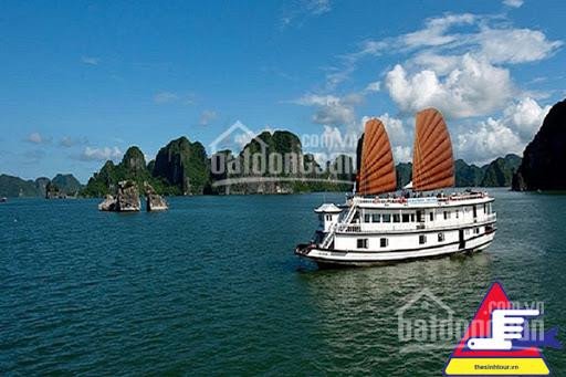 Bến Du Thuyền đẹp Nhất Hạ Long Thuộc Dự án Bất động Sản Nào? Harbor Bay Hạ Long Là Duy Nhất 5