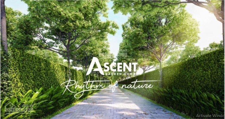 Căn Hộ Ascent Garden Homes Nhật Bản ở Q7,cách Trung Tâm Quận 1 Chỉ 5p 3