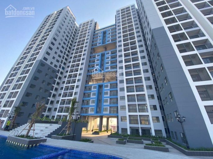 Cc Cho Thuê Sg Avenue Thủ đức, 65tr/th 2pn, 2wc, View Hồ Bơi, Tầng đẹp, Mát Lh: 0948332553 3