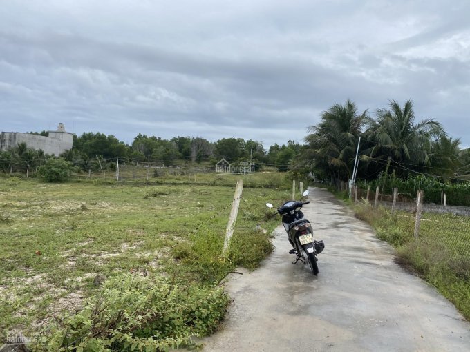 Chỉ 900 Triệu đồng Sở Hữu Ngay 1000m đất Gần Sân Bay Phan Thiết 3