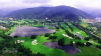 Chỉ Còn Vài Lô đất Biệt Thự Sân Golf Tam đảo Giá Tốt, đường Nhựa, ô Tô đi Thoải Mái, An Ninh 24/24 2