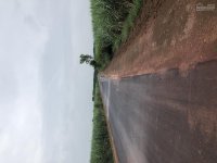 Chính Chủ Bán Nhanh 13000m2 đất Mặt Tiền đường Nhựa 216m Tại Xã Trung Hoà, Trảng Bom Giá 11 Tỷ 3