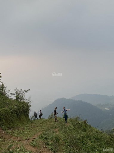 Chính Chủ Bán Nhanh 200 Ha đất Rừng Sản Xuất Tại Cao Phong Hòa Bình Làm Sinh Thái Nghỉ Dưỡng