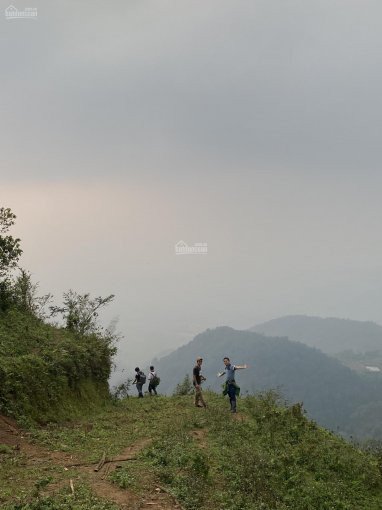 Chính Chủ Bán Nhanh 200 Ha đất Rừng Sản Xuất Tại Cao Phong Hòa Bình Làm Sinh Thái Nghỉ Dưỡng 2