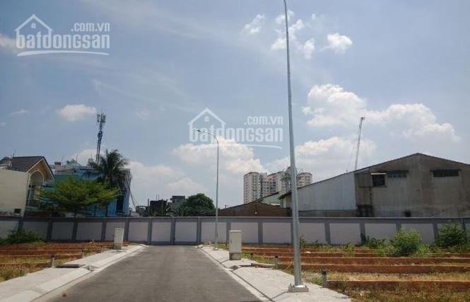 Chính Chủ Bán Nhanh 5 Lô đất Trong Kdc Hưng Phú Cạnh Trại Cá Sấu Hoa Cà, Giá 38 Triệu/m2 2